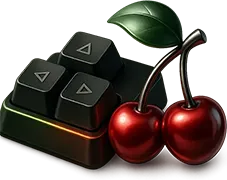 Sports betting at pinco